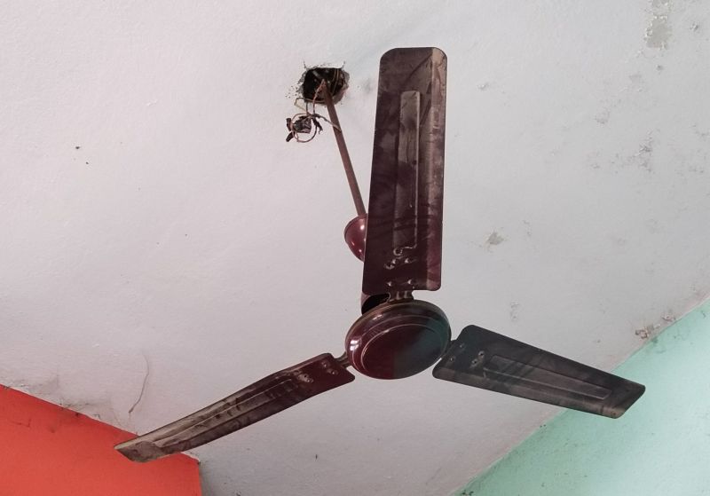 Chandelier Fan Repair in Denver County, CO